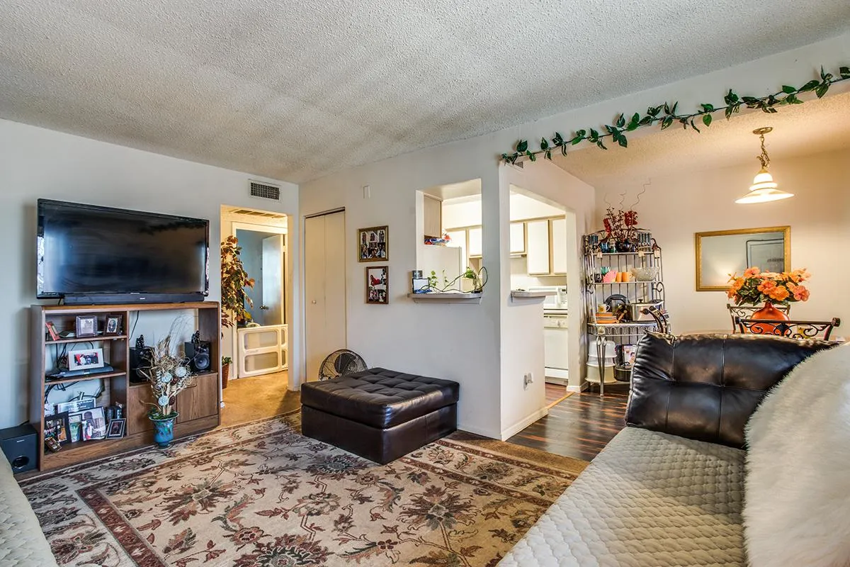 Chaparral — Home interior
