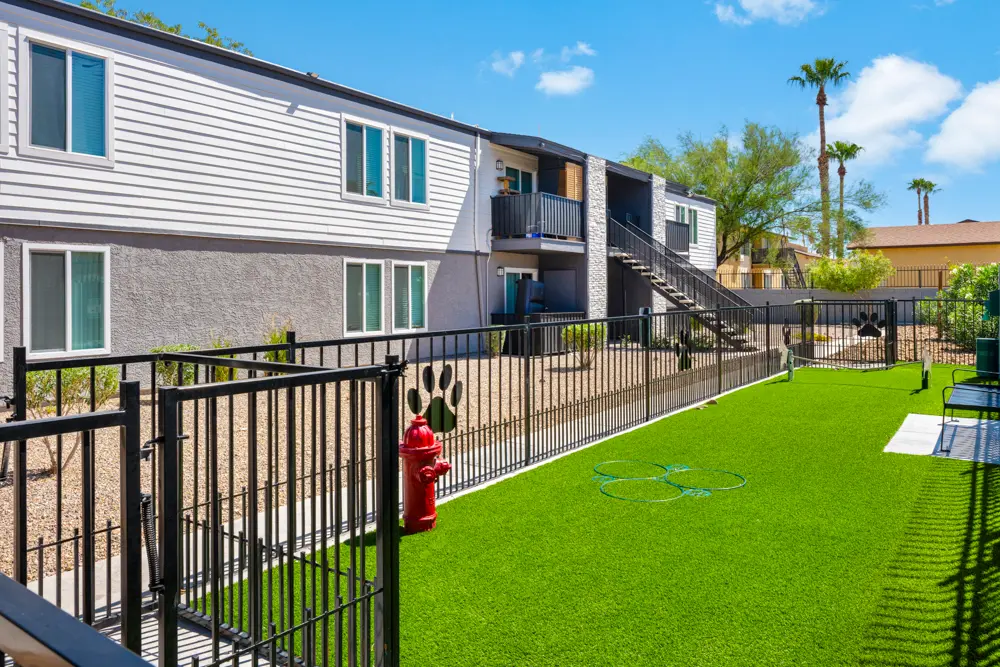 SITE Fifty55 — Community photo